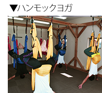 ハンモックヨガ ハンモックヨガ